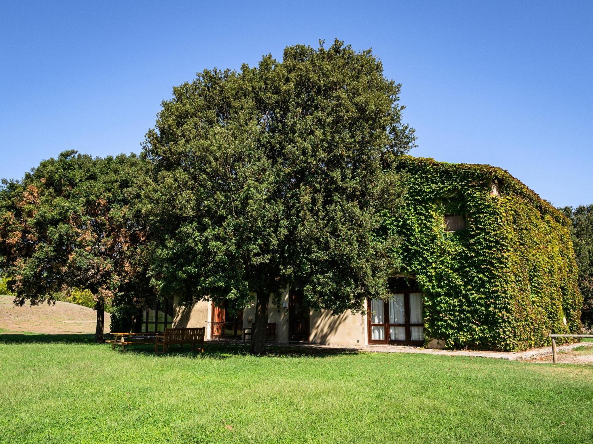 Laselva Albinia Extérieur photo
